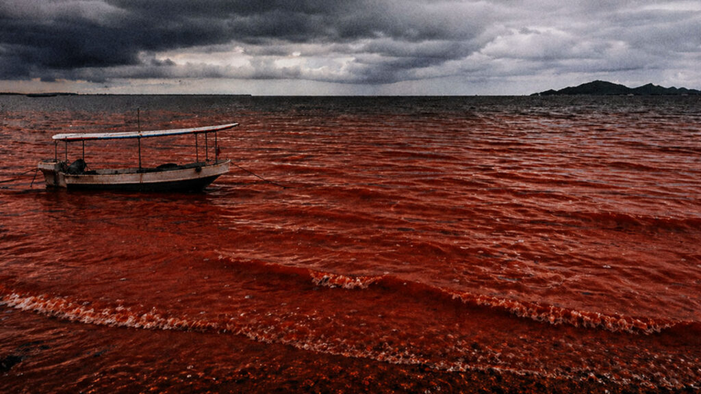 laut berubah merah akibat fenomena red tide