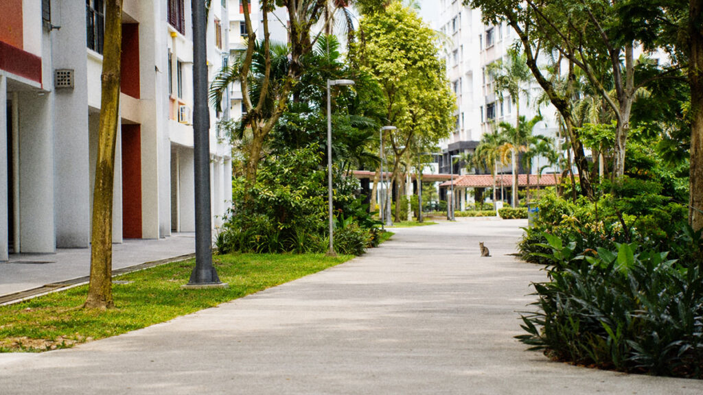 Seekor kucing terlihat di jalur pejalan kaki di Singapura yang bersih dan tertata rapi.